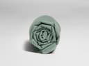 Kinderlaken Perkal-Baumwolle Jade Green