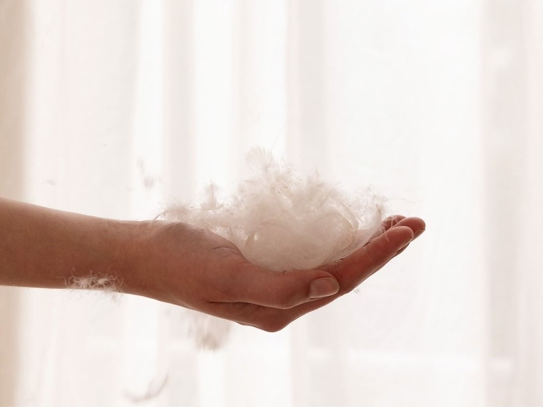 Recycelte Daunendecke Sommer 240x220