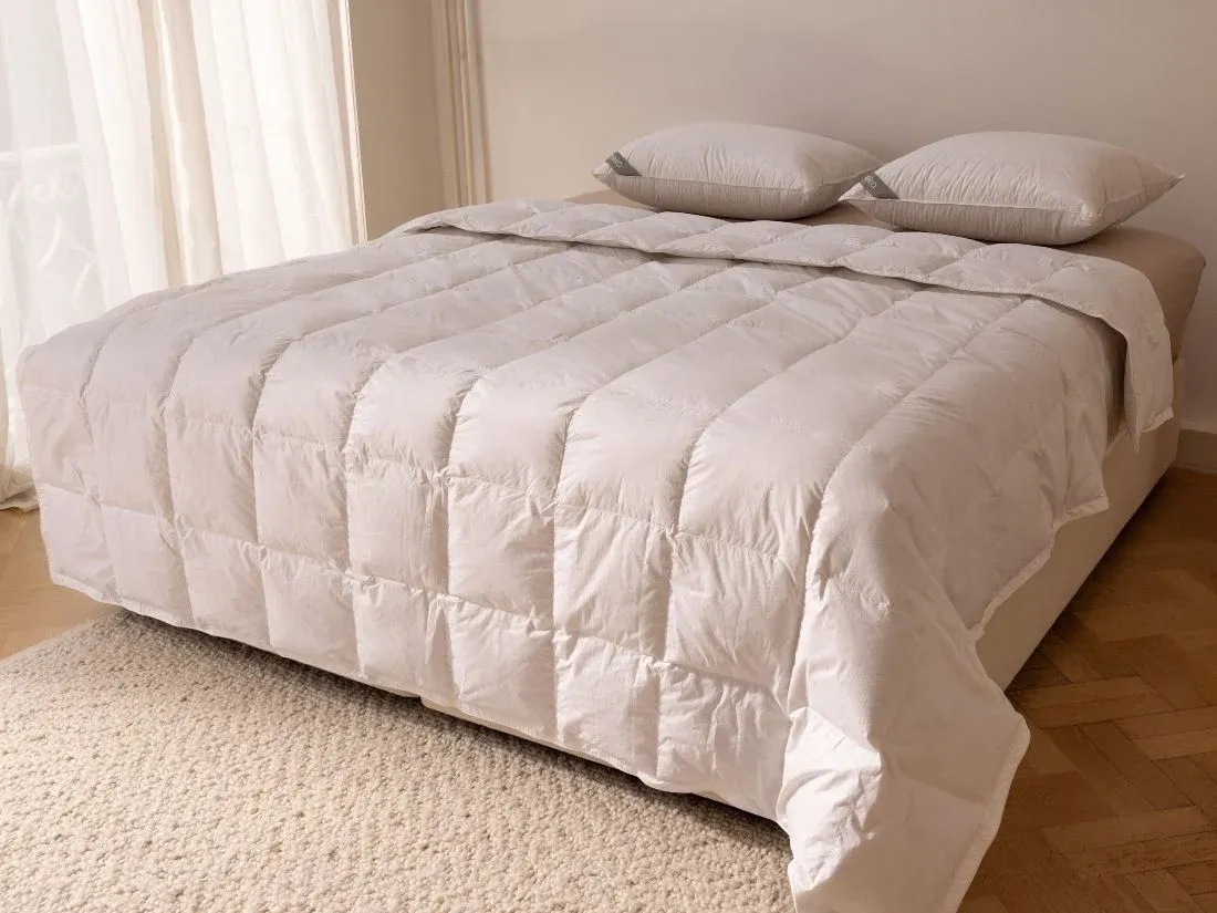 Daunendecke Sommer 240x220