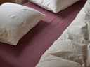 Spannbettlaken Perkal-Baumwolle Deep Raspberry