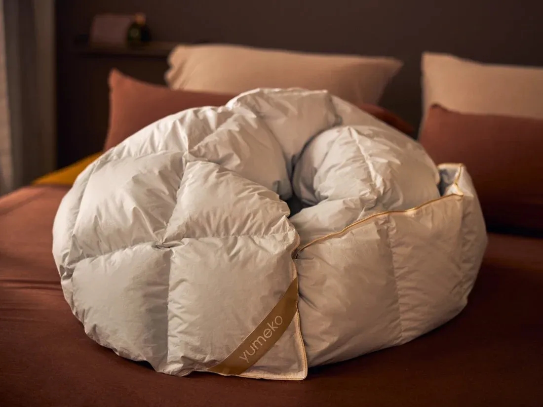 Eiderdaunendecke Übergang 155x220